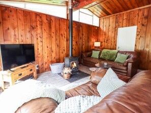 Fireplace - Chalet 2, Dinas Mawddwy (Machynlleth)