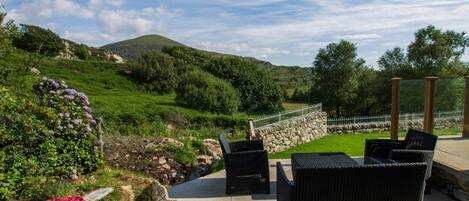 テラス / パティオ