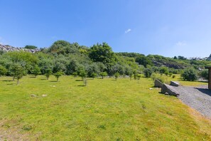 Property grounds - Costentyn, Tor Down Quarry, St Breward (Bodmin)