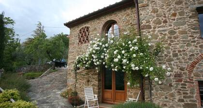 ULIVETO: house and panorama on the Pistoia hillside