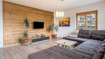 Fernseher, Kamin, DVD-Player, Tischtennisplatte