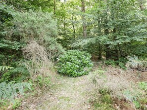 Property grounds - Wood End, Dalbeattie (Dalbeattie)
