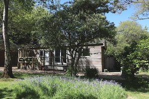 Un chalet rustique aux murs en bois, entouré d’un jardin où poussent des fleurs violettes, et un grand arbre qui offre de l’ombre.