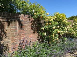 Exterior detail - Charming Lodge 1 in Bolney, UK (Haywards Heath)