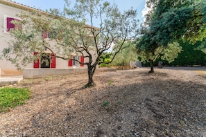 A building with red shutters, a gravel path, and a tree in the foreground.