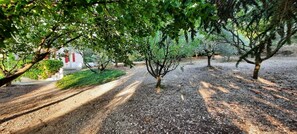 Property grounds - Apartment 'Gîte Ventoux Blanc' with Mountain View, Private Pool and Wi-Fi (Méthamis)