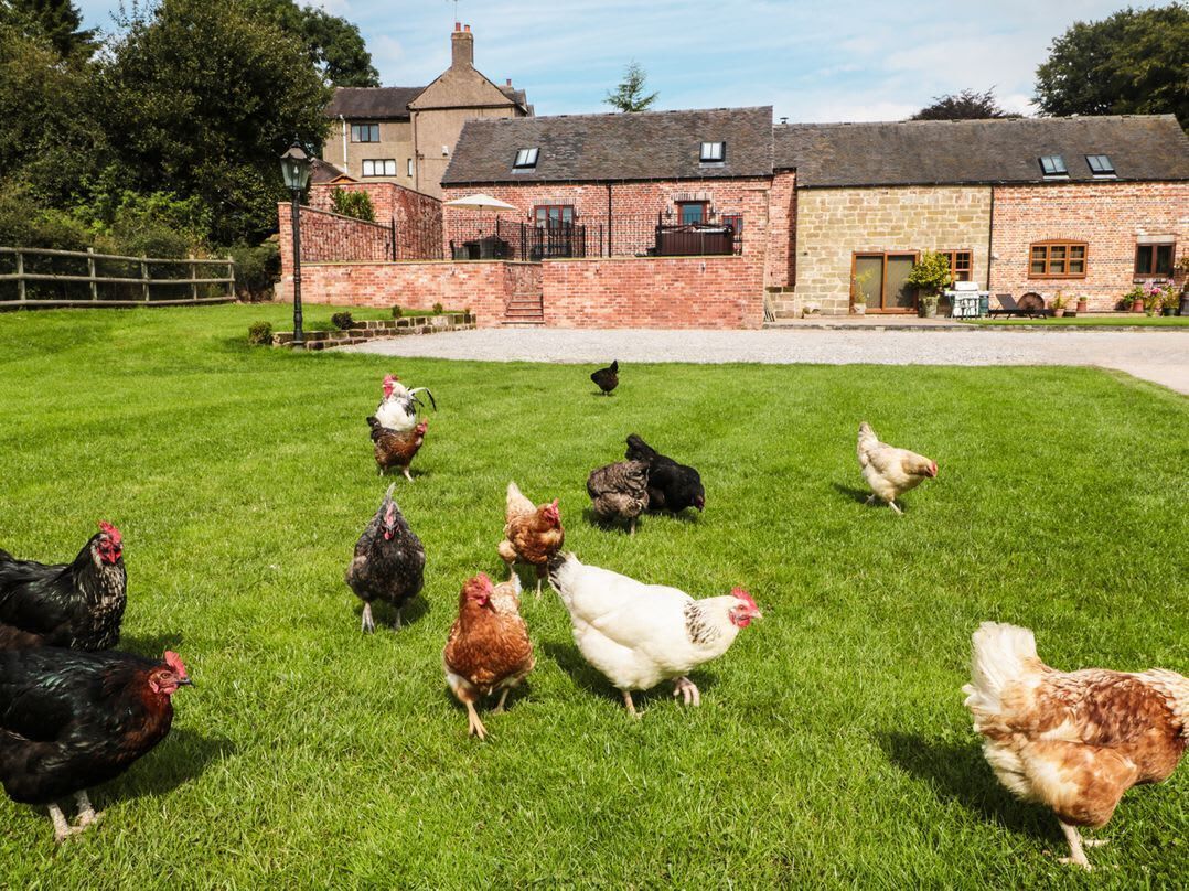 Terrein van de accommodatie