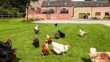 Terrein van de accommodatie