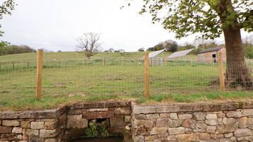 Área da propriedade