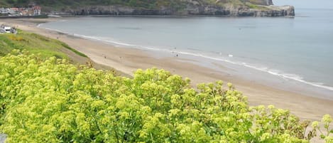 海灘