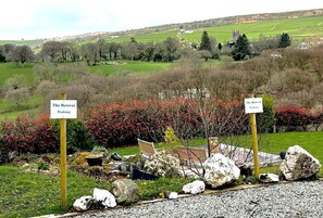 Property grounds - The Retreat, Bodmin, Cornwall. (Bodmin)