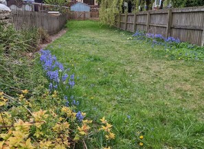 Property grounds - The Cottage, Tetbury (Tetbury)