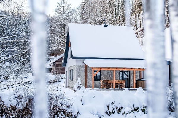 Neige, L'Hiver, Chalet, Domicile, Maison, Toit, Gelé, Brindille, Cabane En Rondins