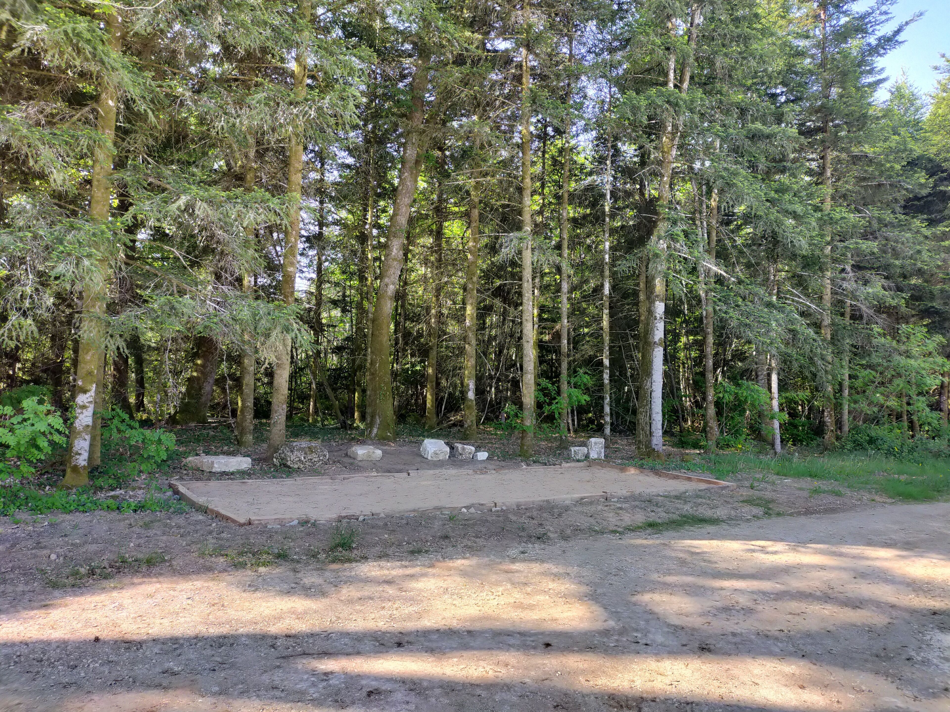 Ein bewaldetes Gebiet mit einem Feldweg und großen Felsen.