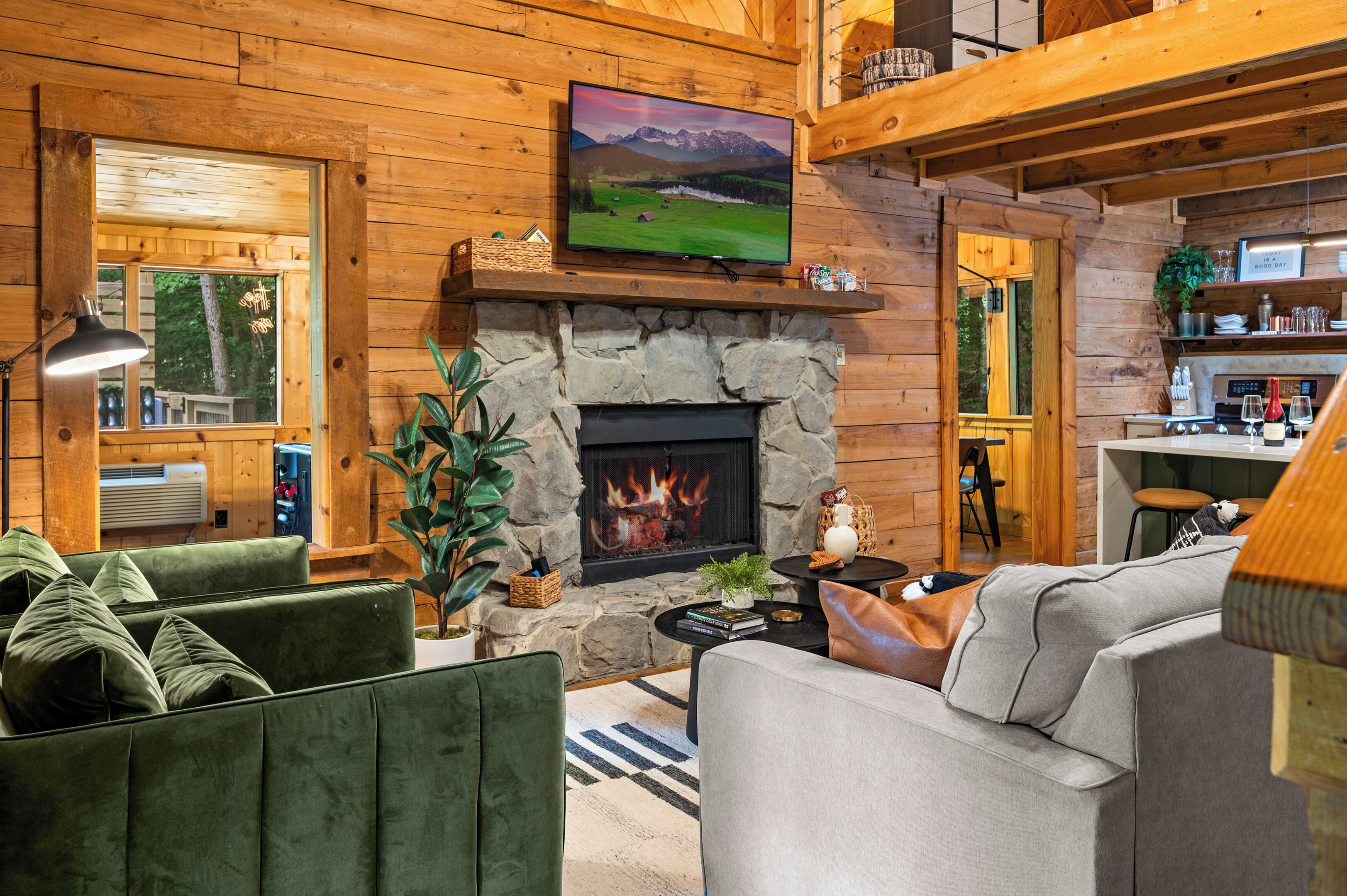 TV, fireplace
