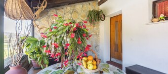 Apartment Lea Puce