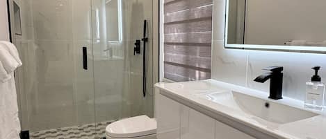 Hair dryer, towels, soap, toilet paper