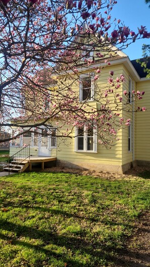 Exterior - Historic 1898 4BR Home - 3 King + 1 Queen - Wooded Backyard Retreat (Iowa Falls)