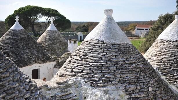 Traditional stone-roofed buildings with conical shapes, surrounded by greenery and a clear sky. - Masseria Tagliente (Martina Franca)