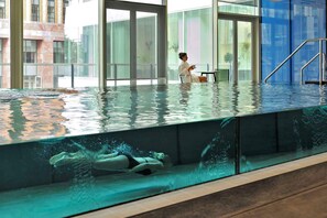 Pool - Modern 2-bedroom executive apartment at the Zuidas, Amsterdam-South (Amsterdam)