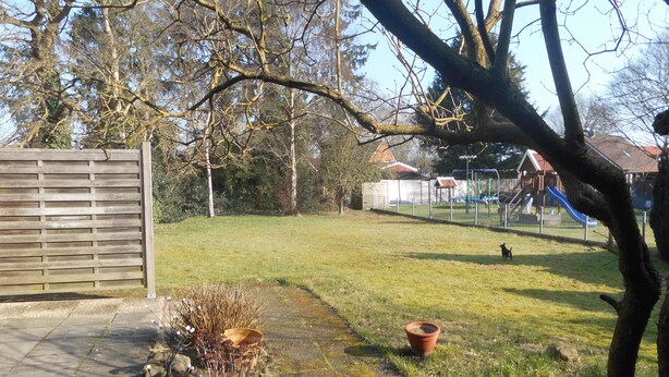 Une cour clôturée avec une pelouse, une clôture en bois et un arbre.