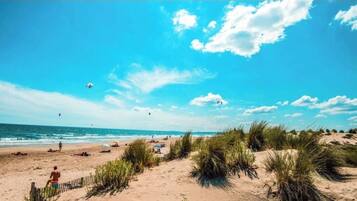 Playa