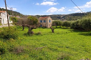 Property grounds - Charming Stone House in a Cretan Village – Olive Grove Views & Stargazing (Gavalochori)