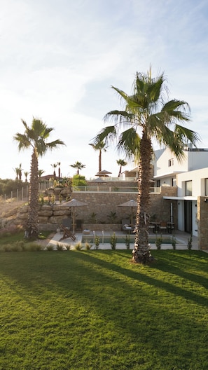 A modern building with a stone facade, palm trees, and a grassy area.
