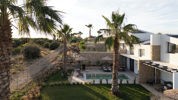 A modern villa with a swimming pool, outdoor seating, and palm trees.