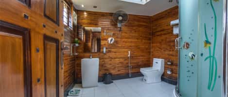 Shower, hair dryer, towels, soap
