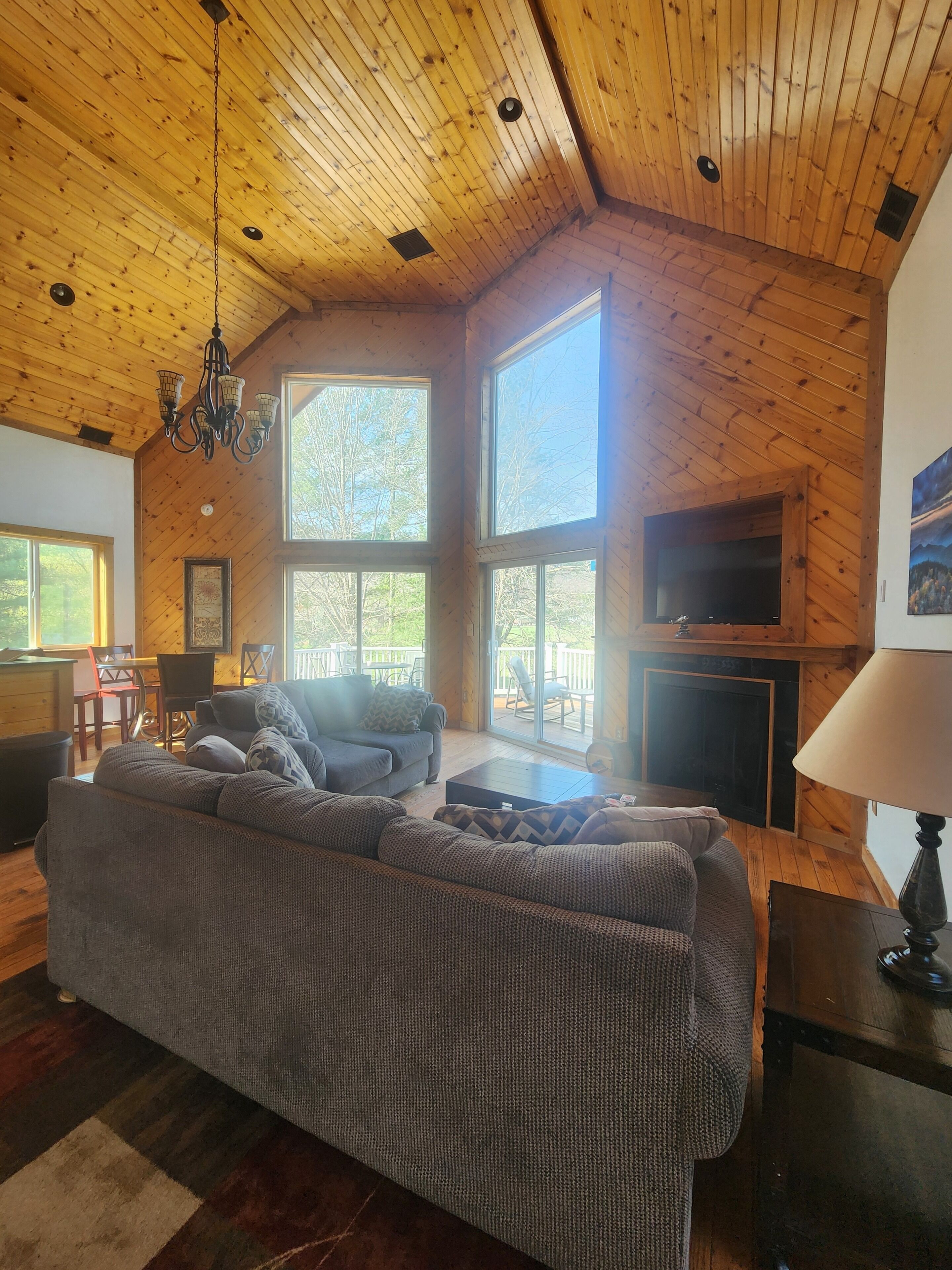 TV, fireplace