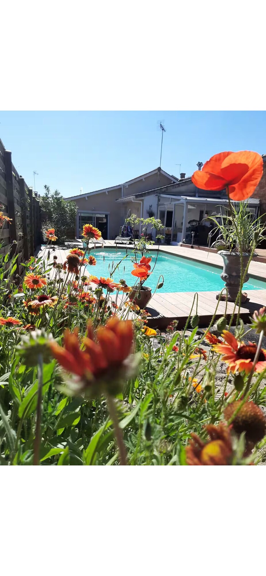 Bild für Gastgeberprofil