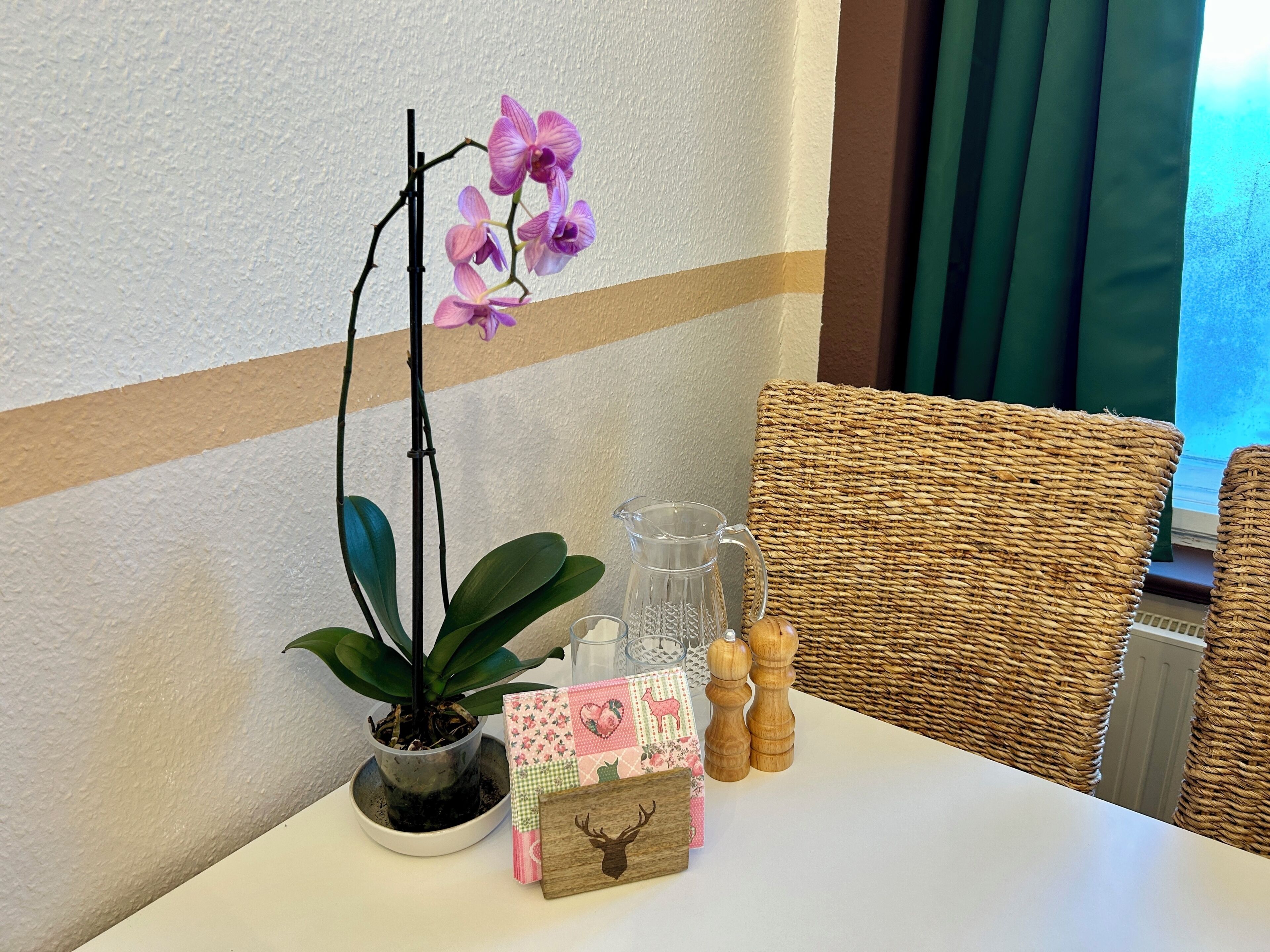 A table with a potted orchid, a glass pitcher, salt and pepper shakers, a wooden deer plaque, and a woven chair.