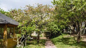 A garden pathway leading to a wooden structure with a sloped roof, surrounded by blooming trees and greenery. - Guest Room 'Chambre T' with Shared Terrace & Garden, Wi-Fi Included (Saint-Rémy-lès-Chevreuse)