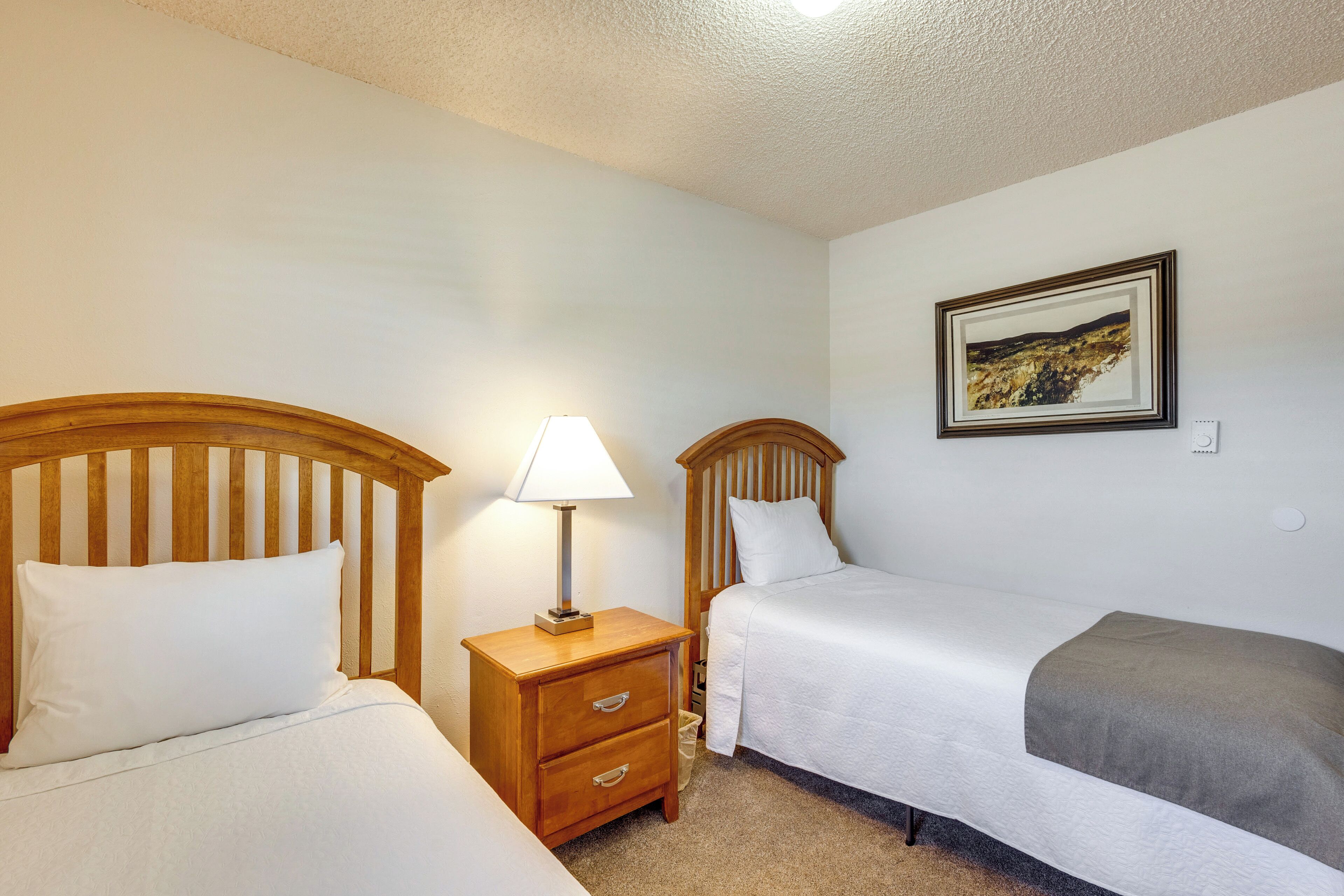 A bedroom with two single beds, a nightstand with a lamp, a framed picture on the wall, and a carpeted floor.