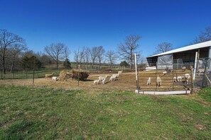 A fenced outdoor area with a building, possibly a barn, and a clear blue sky. - Ozark Mountain Launchpad! Cabin w/ Fishing On-site (Richland)