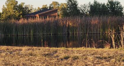 'stargazer's Delight' in the Ozarks: Country Cabin