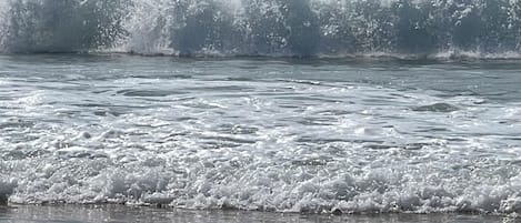 Ranta