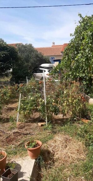 Economy-Doppelzimmer, Terrasse, Gartenblick | Unterkunftsgelände