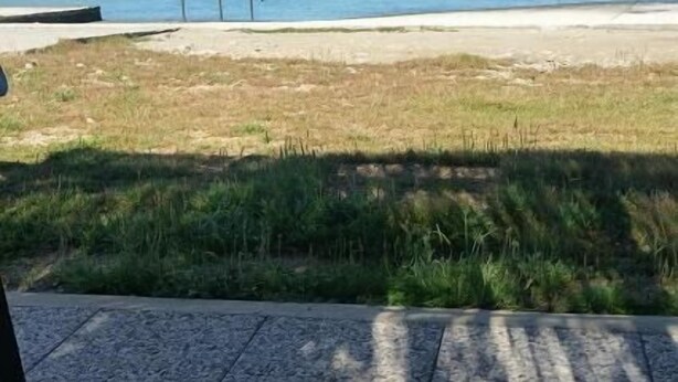 Un área pavimentada con vistas a la playa y al océano.