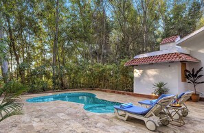 Outdoor pool - ELIVAAS The Aravalli Reserve Lotus Villa (Faridabad)