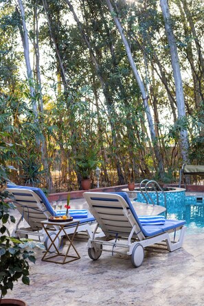 Outdoor pool - ELIVAAS The Aravalli Reserve Lotus Villa (Faridabad)