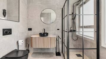 Shower, hair dryer, towels, shampoo