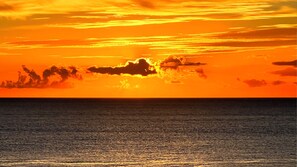 Miscellaneous - Island Village Ishigaki-jima (Ishigaki)