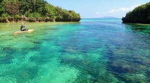 Miscellaneous - Island Village Ishigaki-jima (Ishigaki)