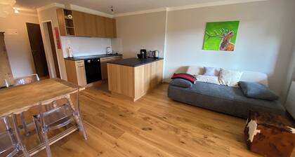 Newly renovated vacation rental in Flims X Laax with a balcony, underground parking, indoor pool, and sauna