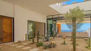 Een modern interieur met een cactustuin, paden van steen en uitzicht naar buiten.