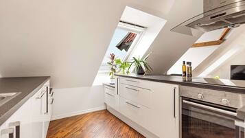 Fridge, oven, stovetop, dishwasher