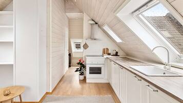 Fridge, oven, stovetop, dishwasher