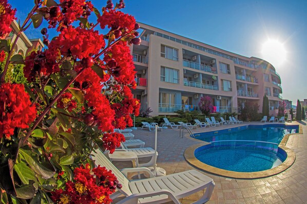 A hotel with a swimming pool, lounge chairs, and red flowers.